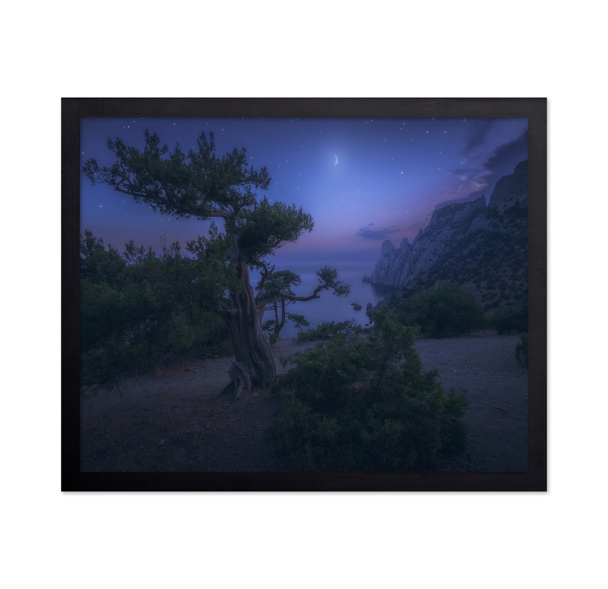 Moon Night