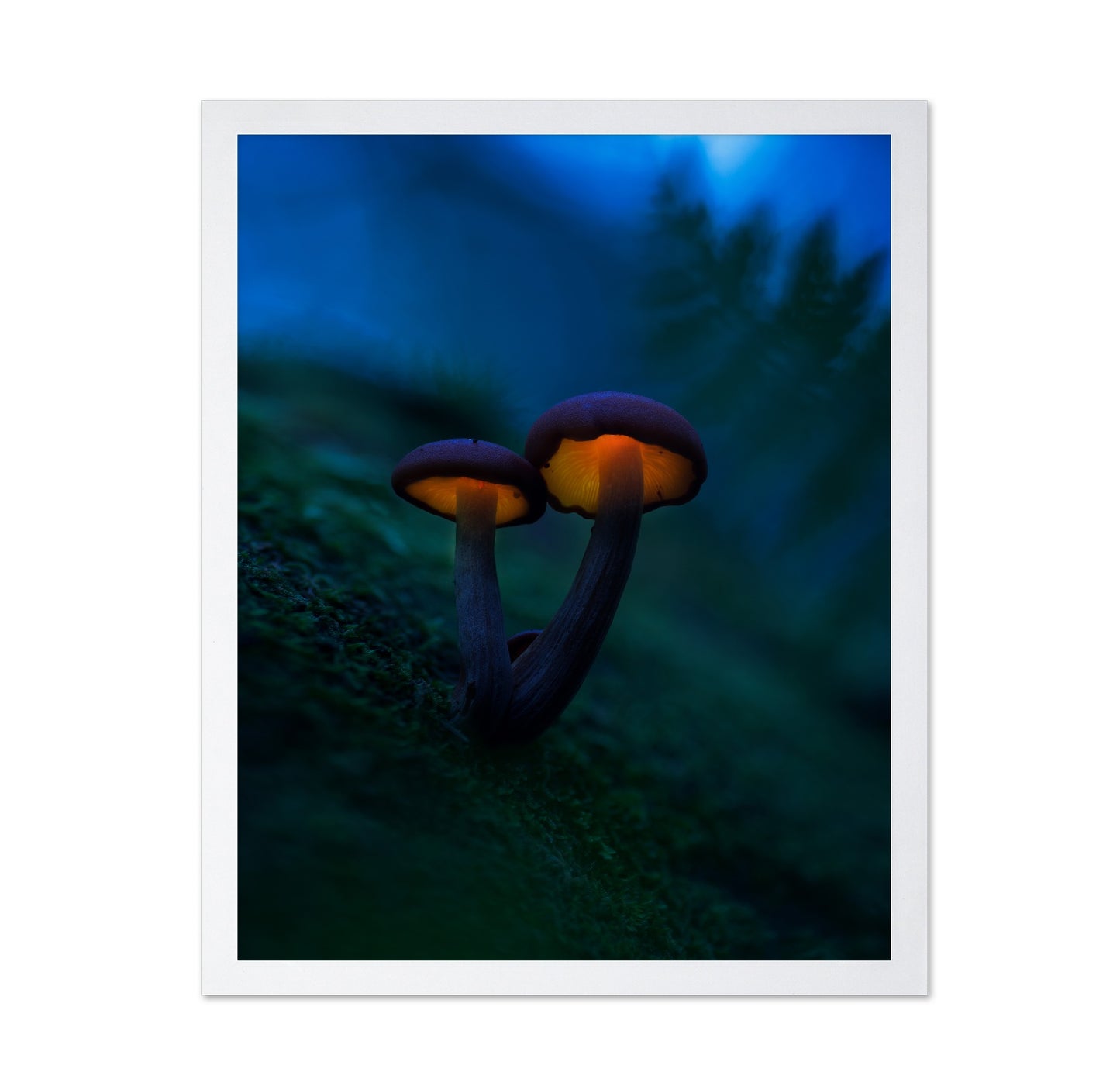 Glowing Mushrooms