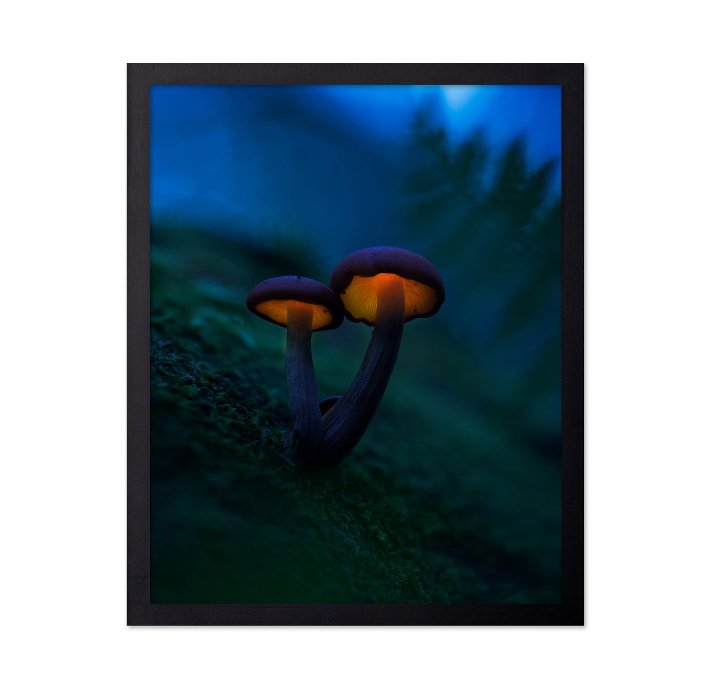 Glowing Mushrooms