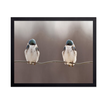 Birds On A Wire