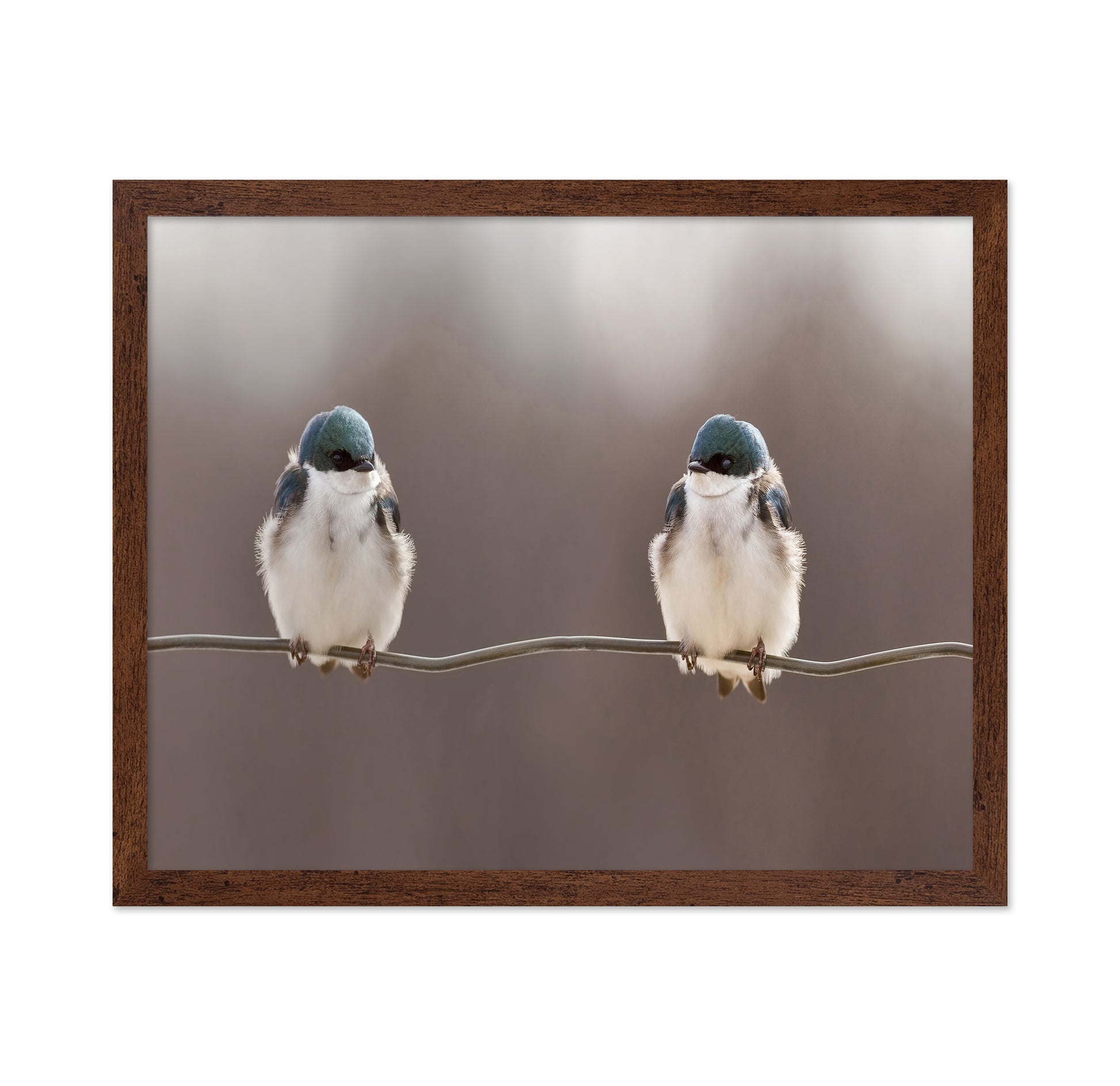 Birds On A Wire