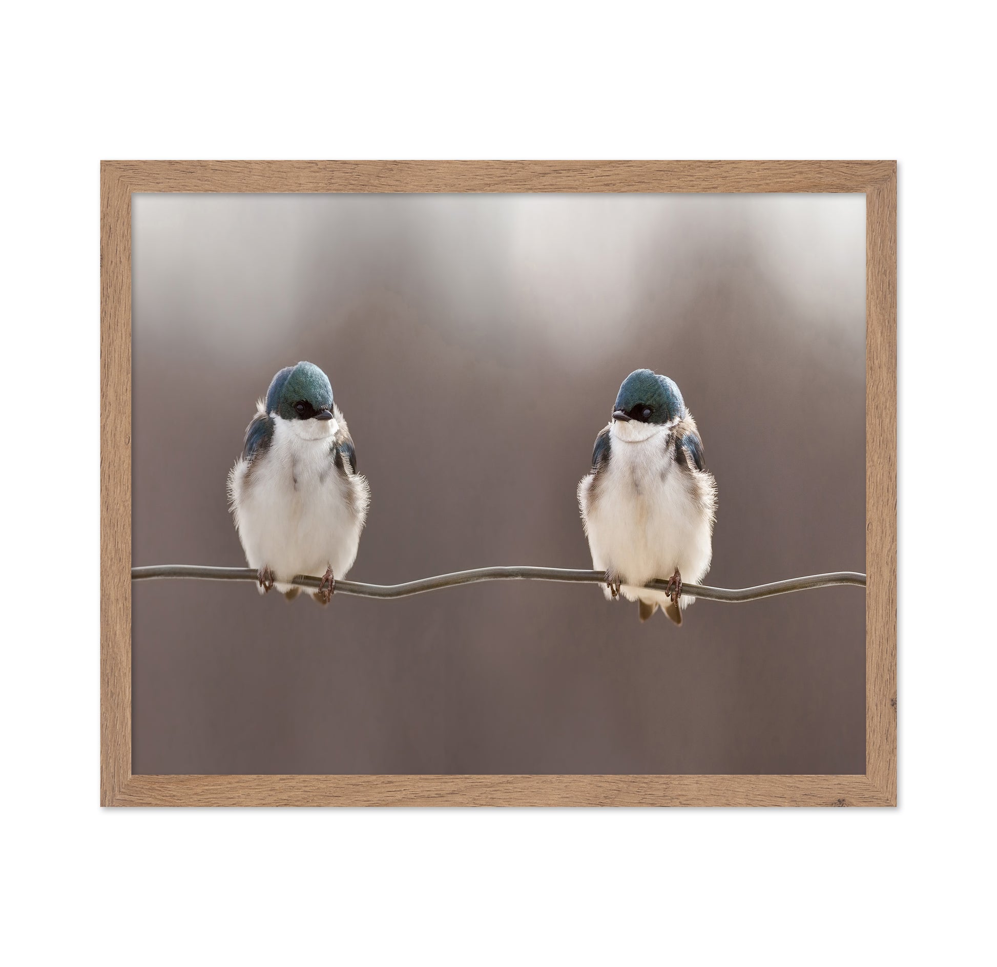 Birds On A Wire