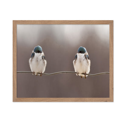 Birds On A Wire