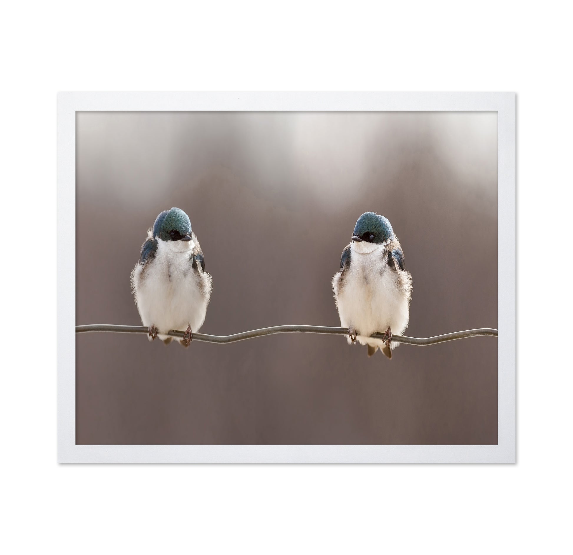 Birds On A Wire