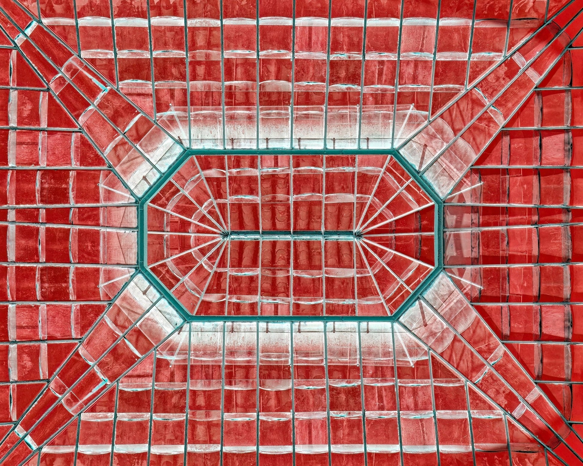 Teal Veins in a Crimson Field