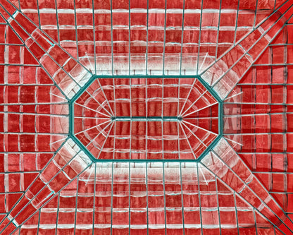 Teal Veins in a Crimson Field