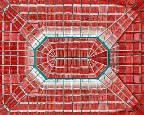Teal Veins in a Crimson Field