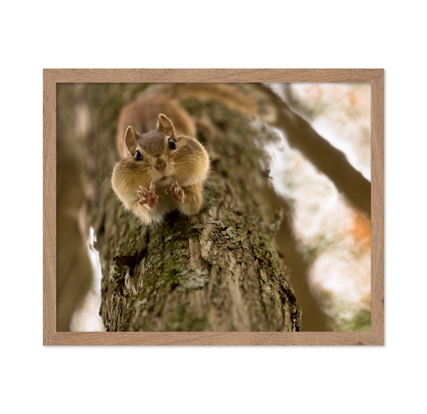 Don't Grab My Nuts