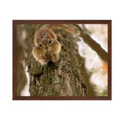 Don't Grab My Nuts