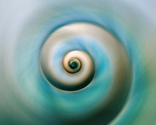 Each Curve Is a Journey