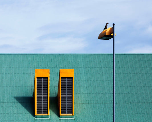 The Yellow Lamp