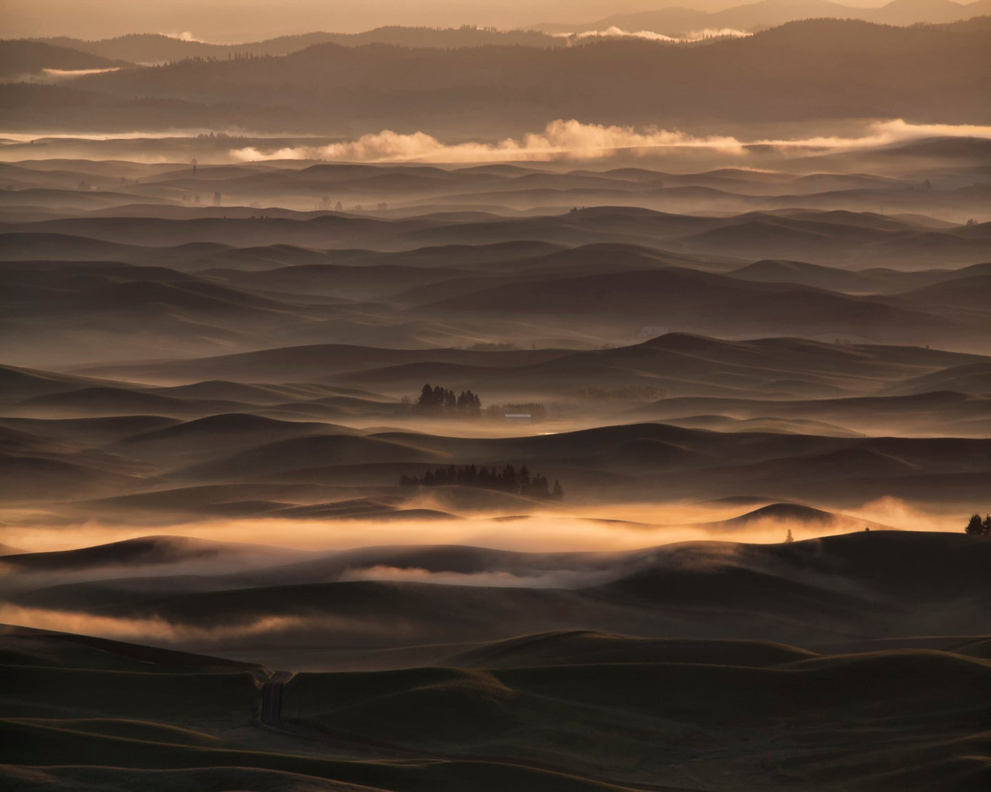 Misty sunrise at Palouse