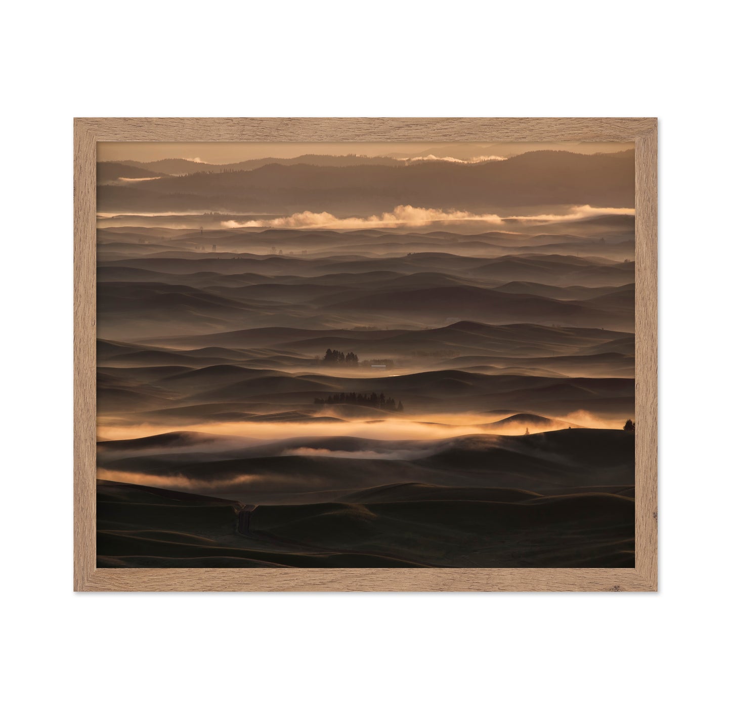 Misty sunrise at Palouse