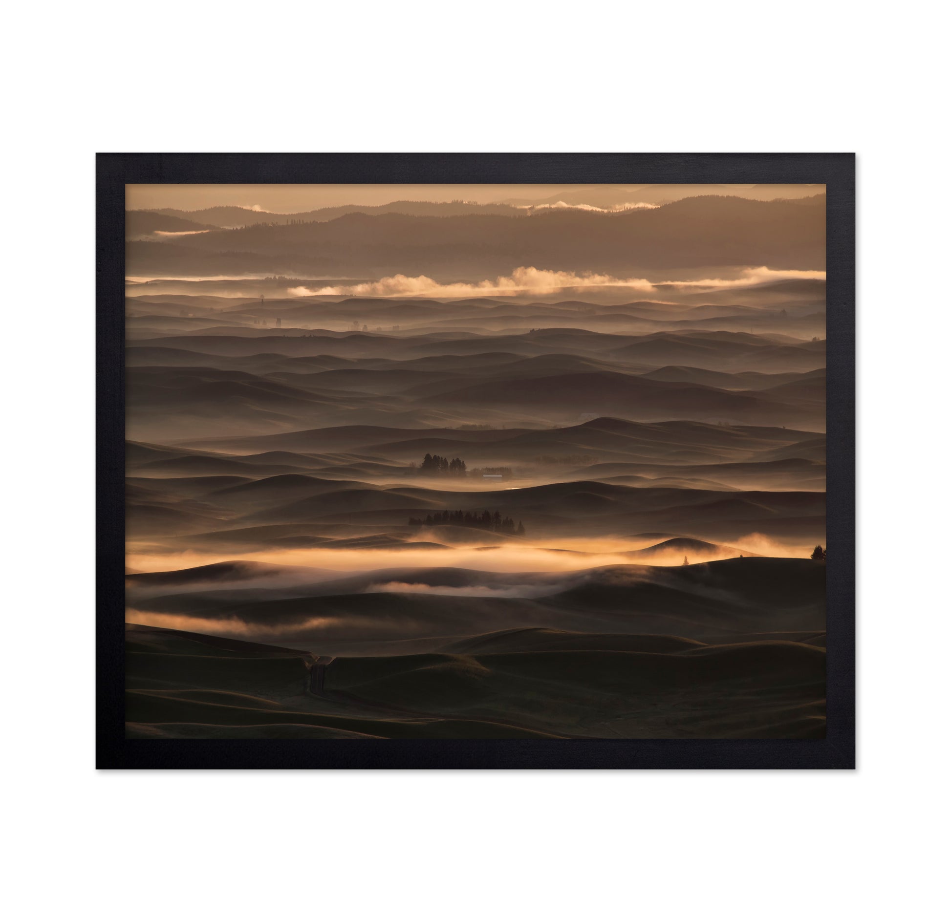 Misty sunrise at Palouse