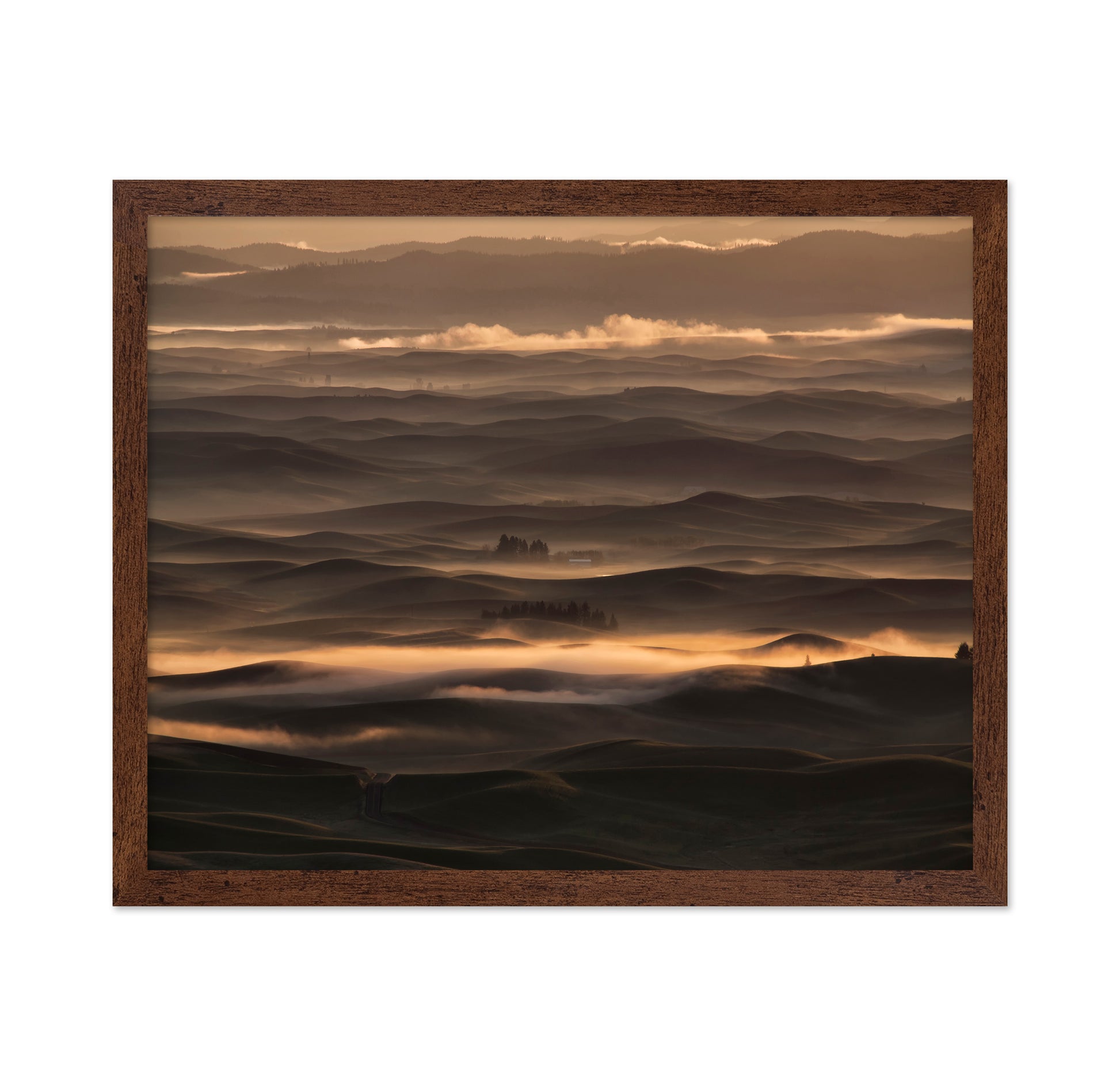 Misty sunrise at Palouse