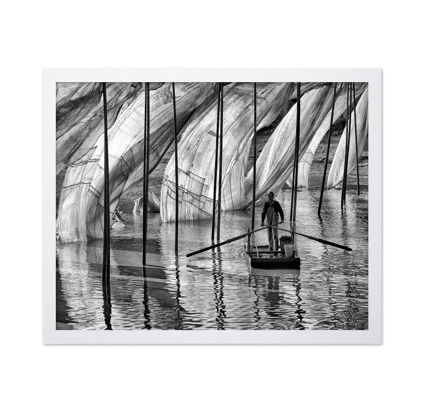 Fisherman at Work