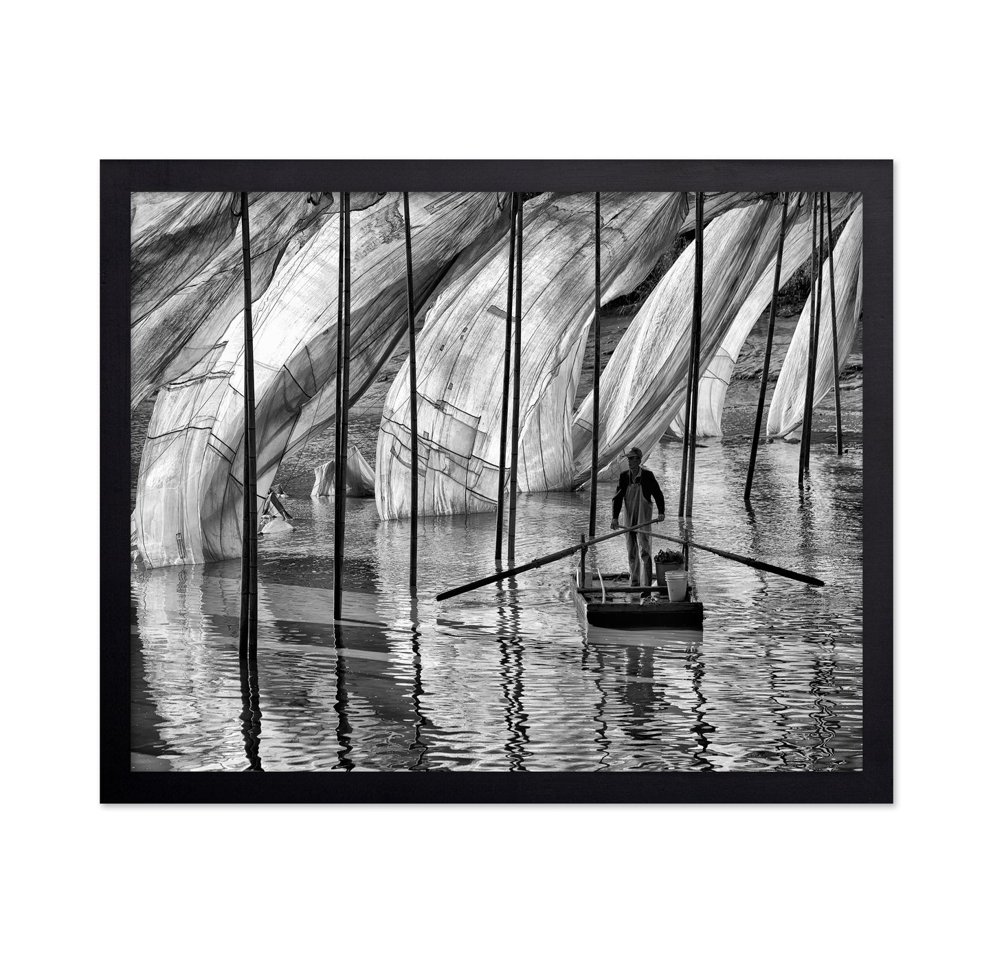 Fisherman at Work