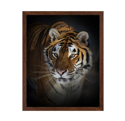 Portrait of a Siberian Tiger