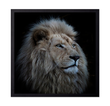 Proud Lion