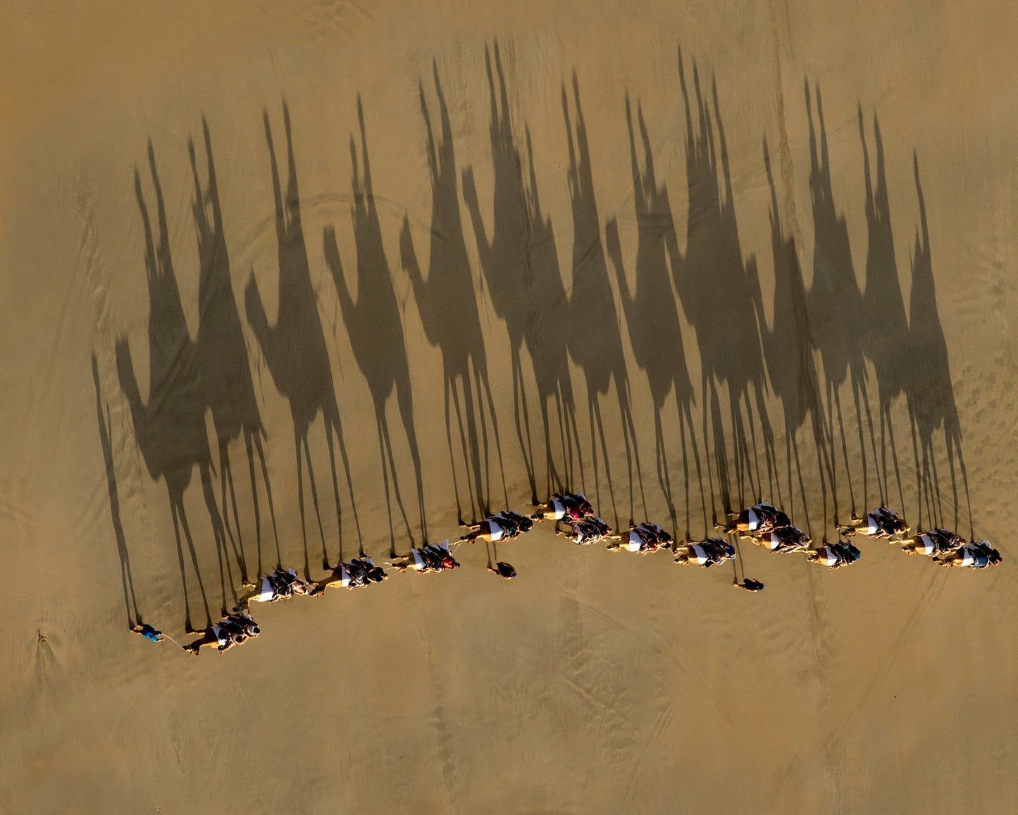A Journey Of Shadows