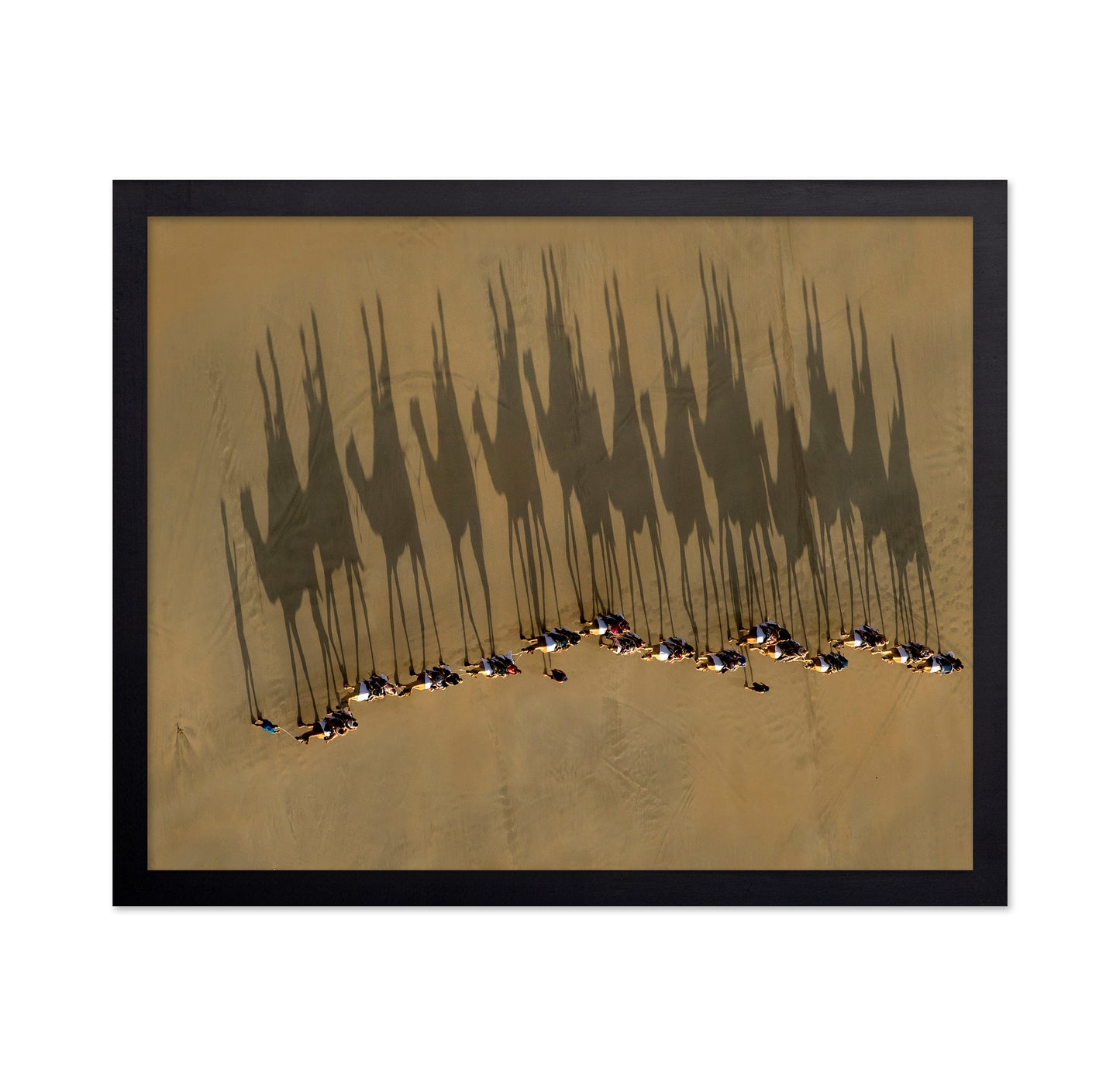 A Journey Of Shadows