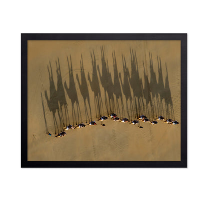 A Journey Of Shadows