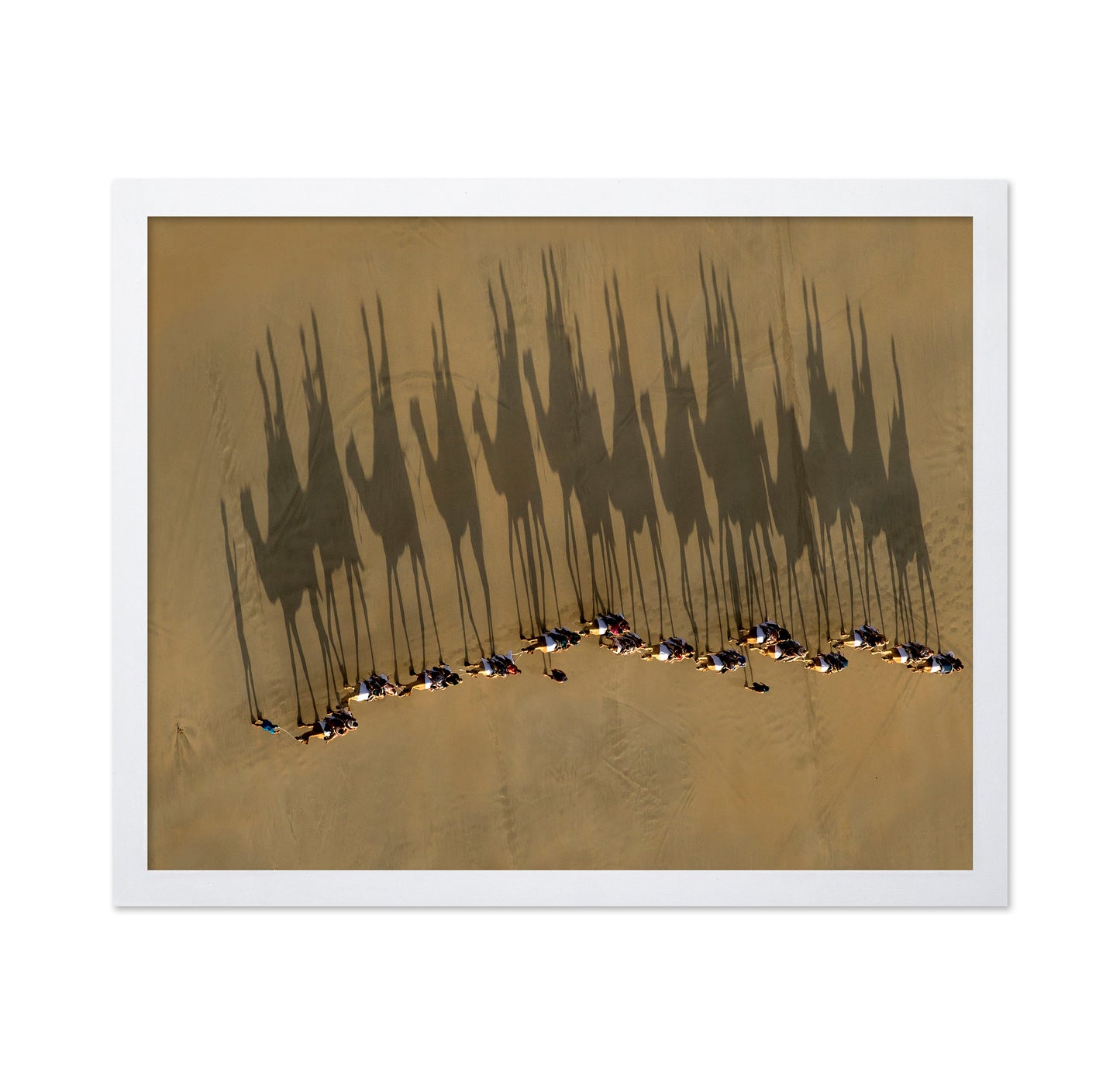 A Journey Of Shadows