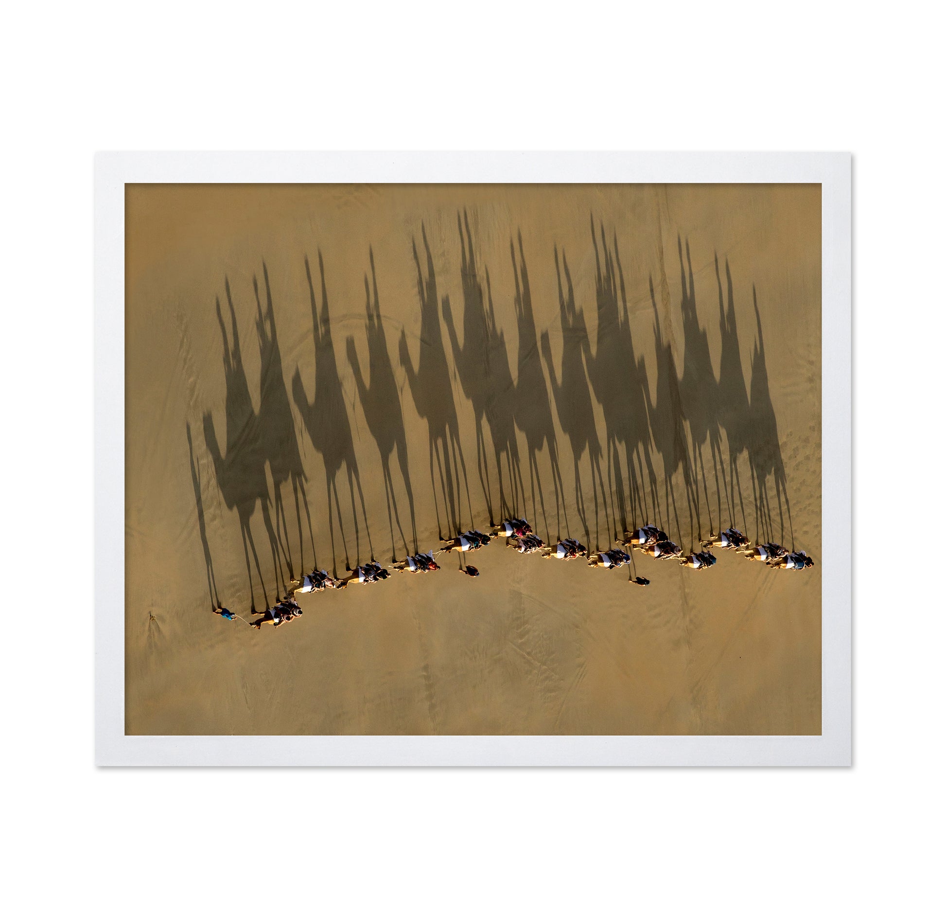 A Journey Of Shadows