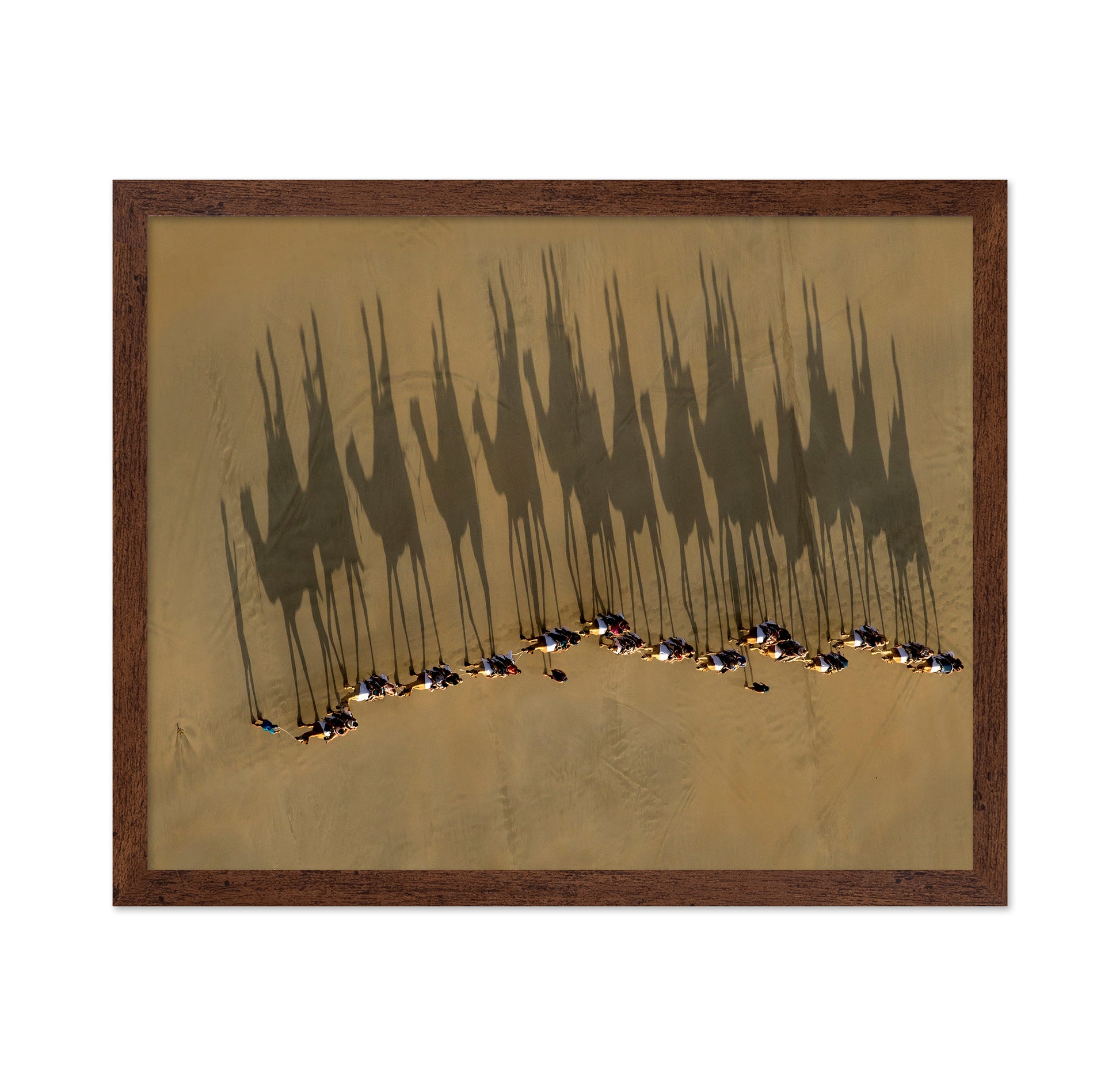A Journey Of Shadows