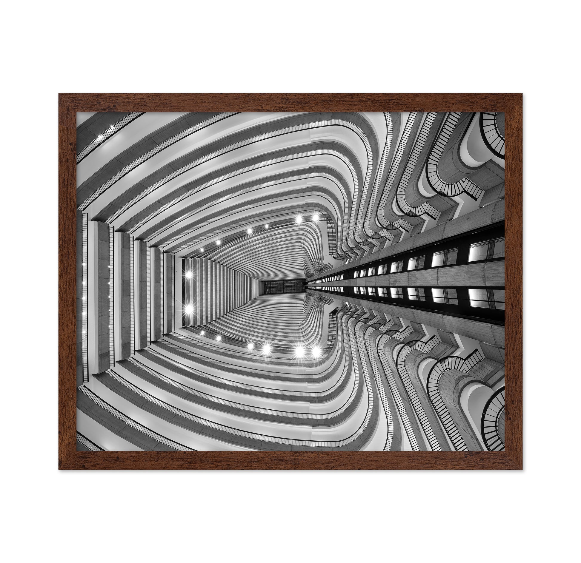 Rib Cage