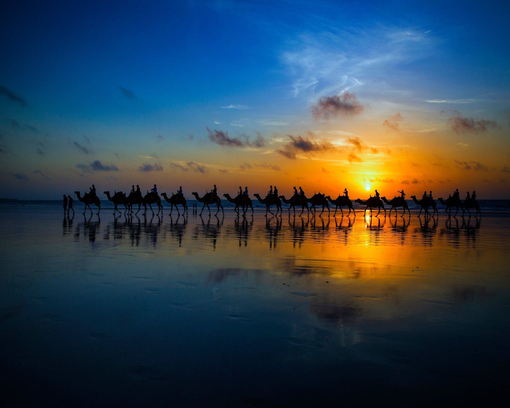 Sunset Camel Ride