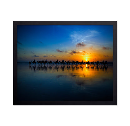 Sunset Camel Ride