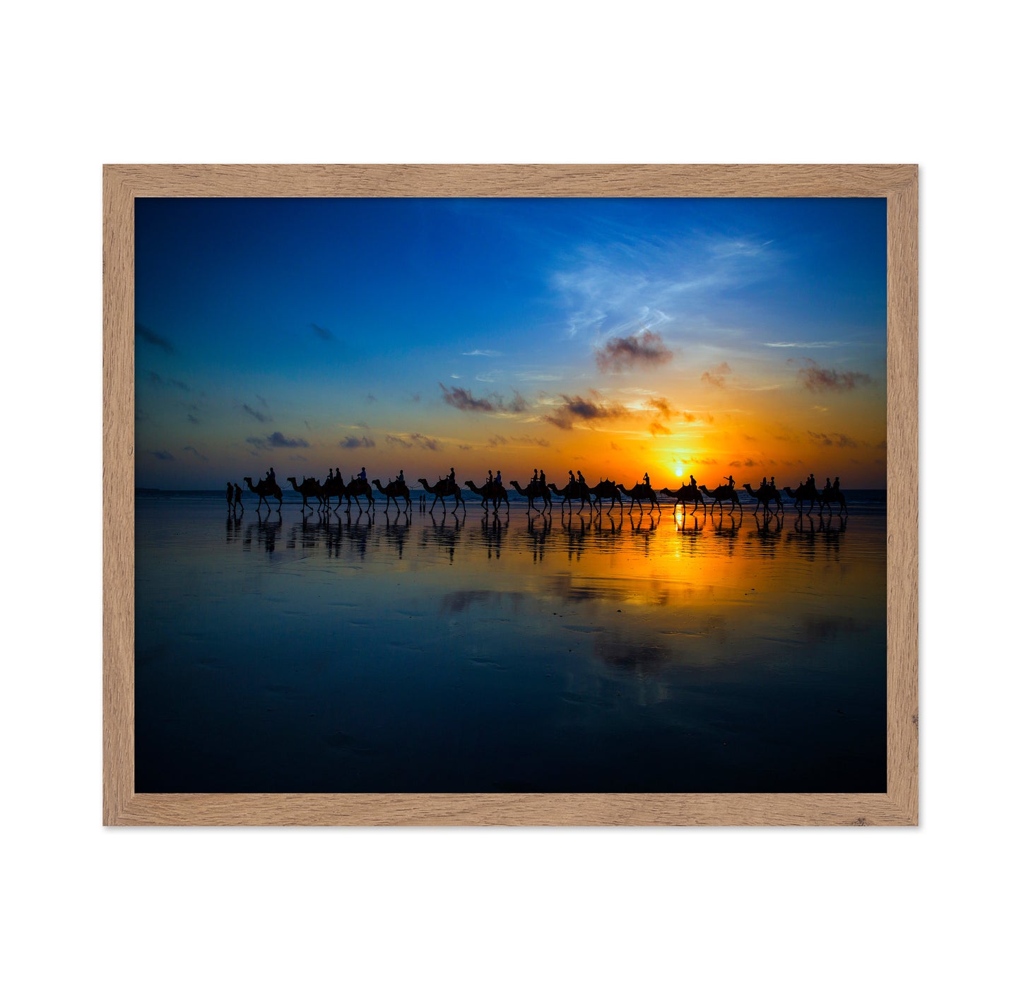 Sunset Camel Ride