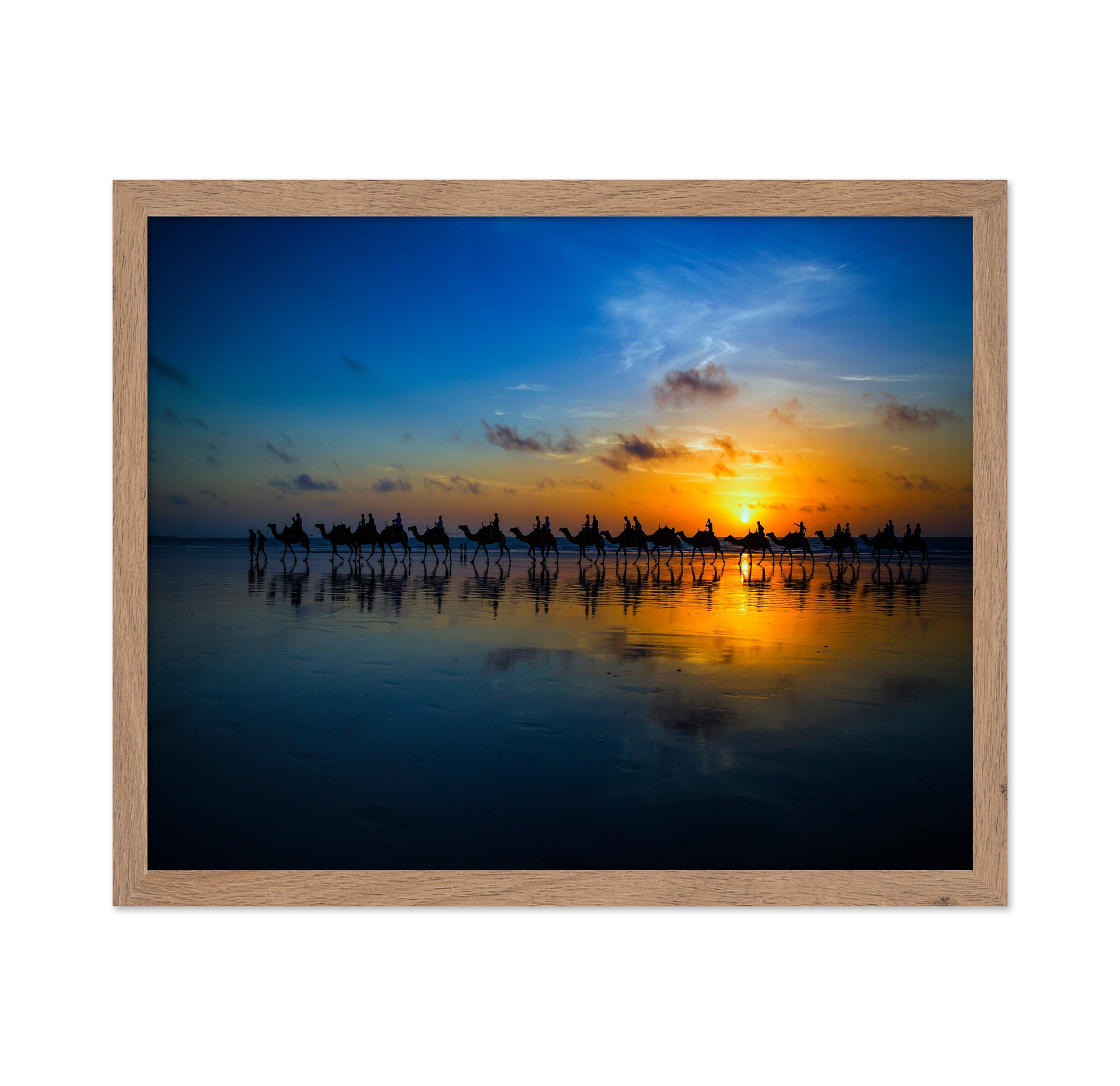 Sunset Camel Ride