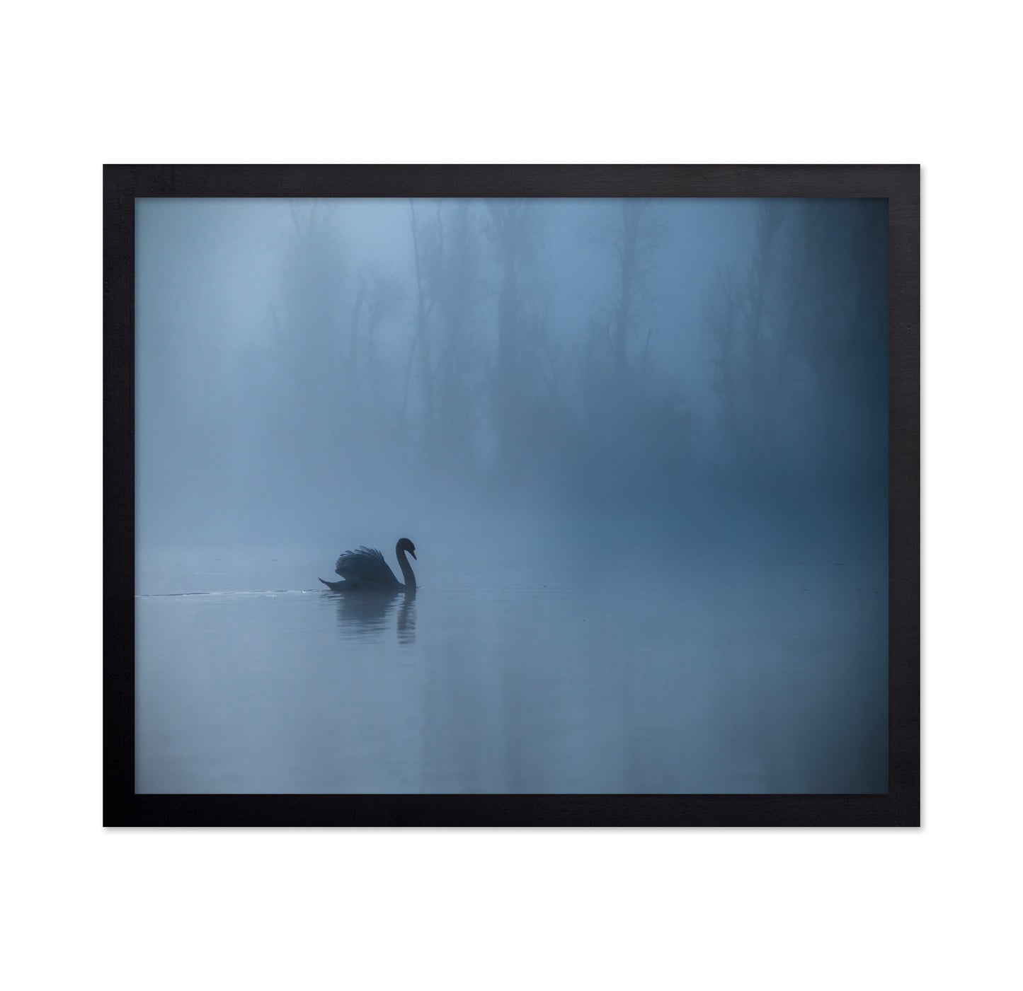 Misty Morning