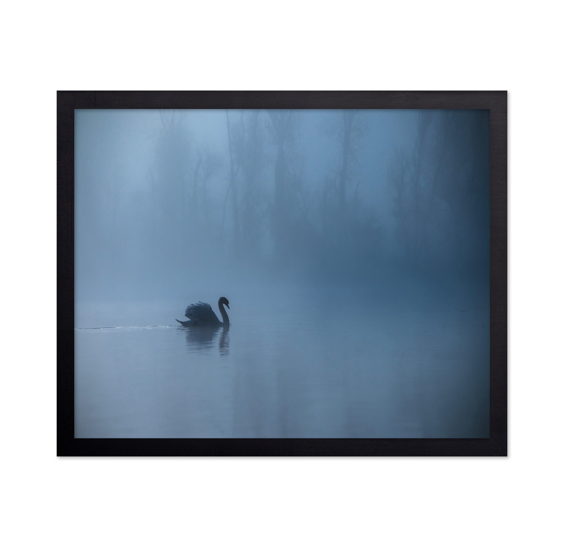 Misty Morning