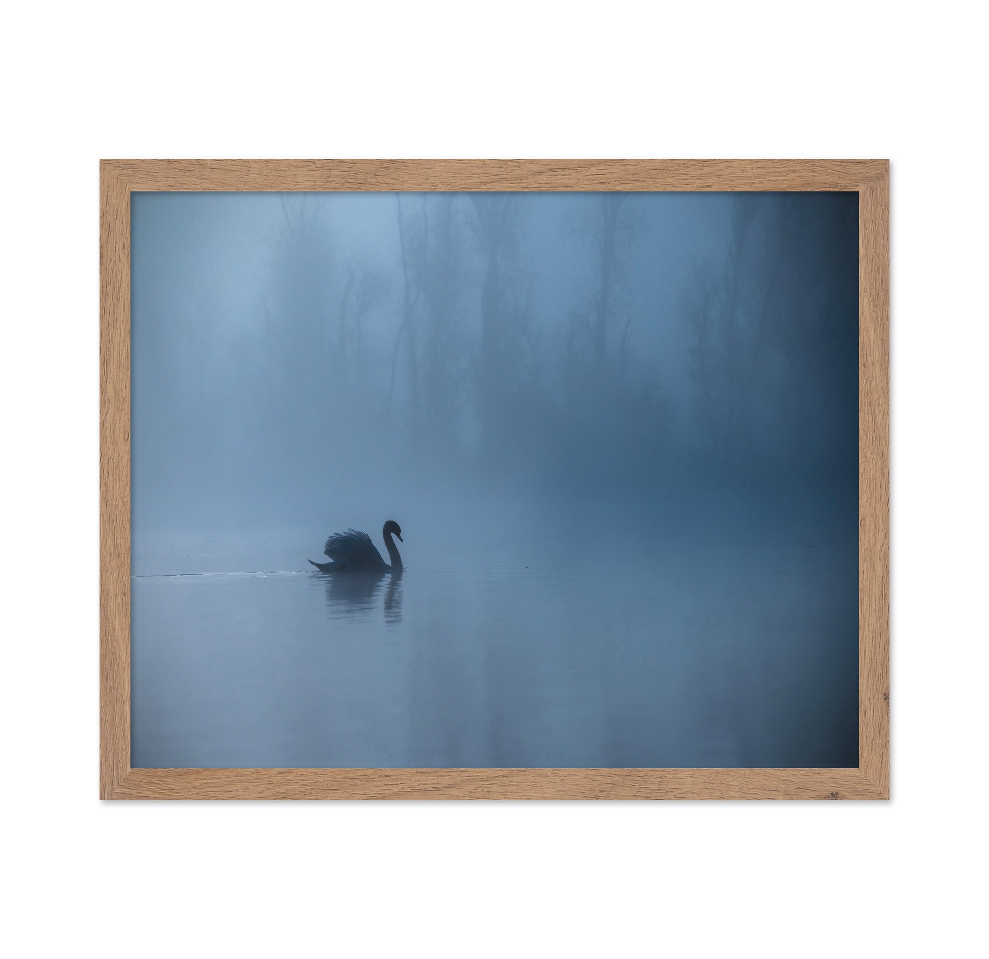 Misty Morning