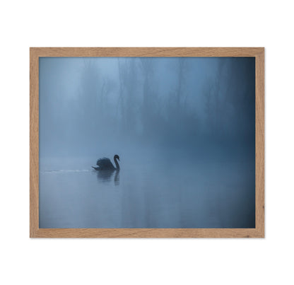 Misty Morning