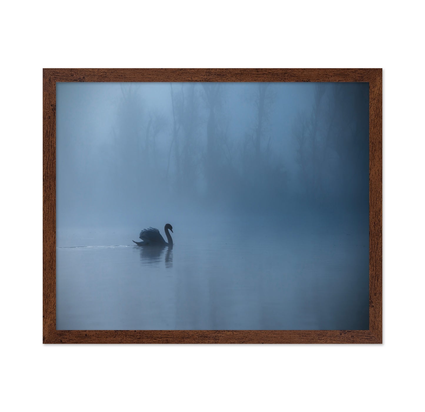 Misty Morning