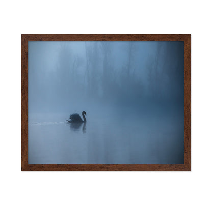 Misty Morning