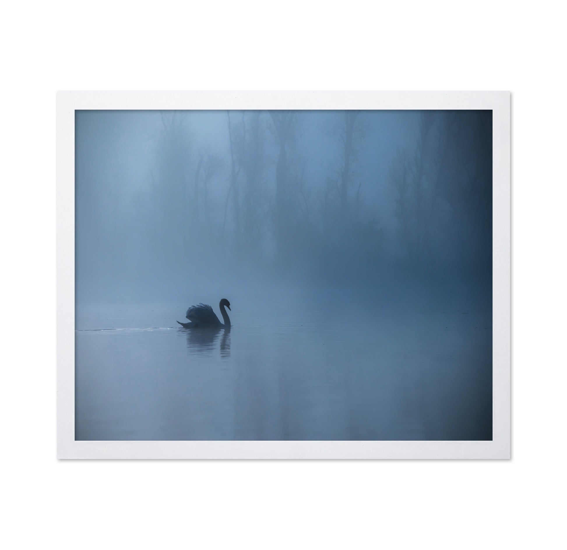 Misty Morning