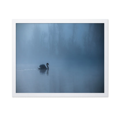 Misty Morning