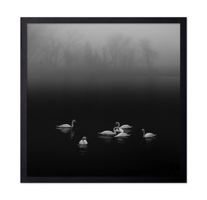 Swan Lake Foggy Morning No 2