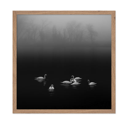 Swan Lake Foggy Morning No 2