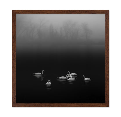 Swan Lake Foggy Morning No 2