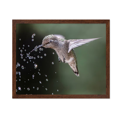 Happy Hummingbird