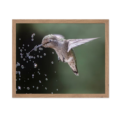 Happy Hummingbird
