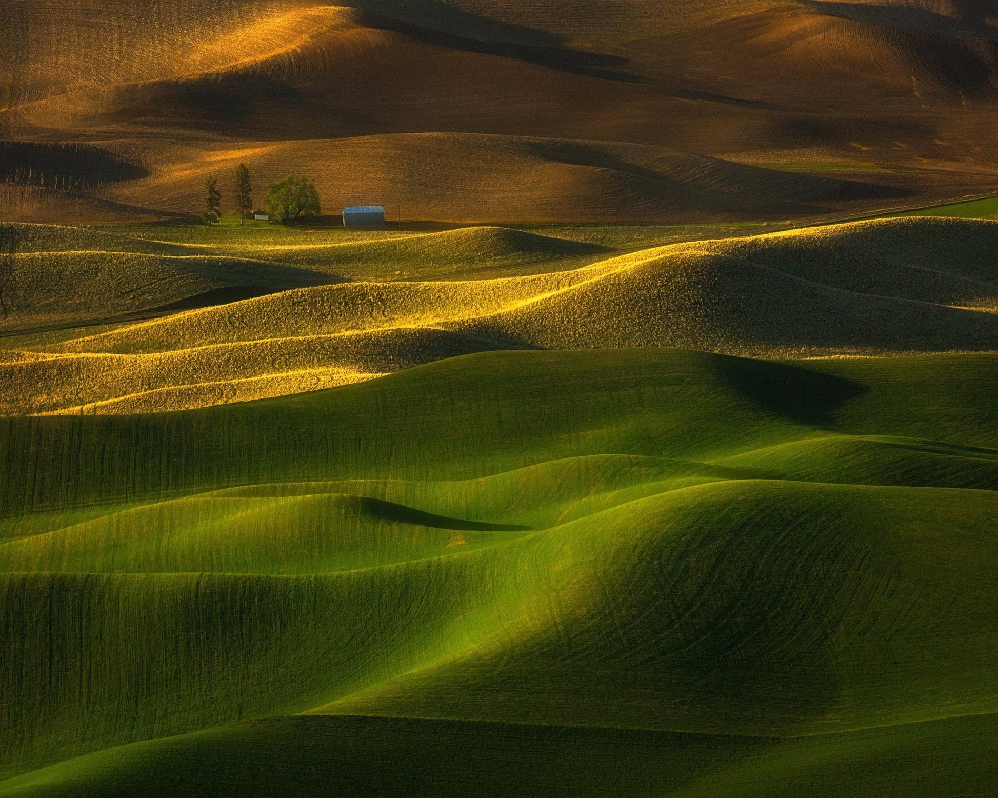 The Color Of The Earth