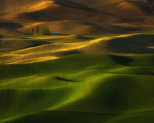 The Color Of The Earth