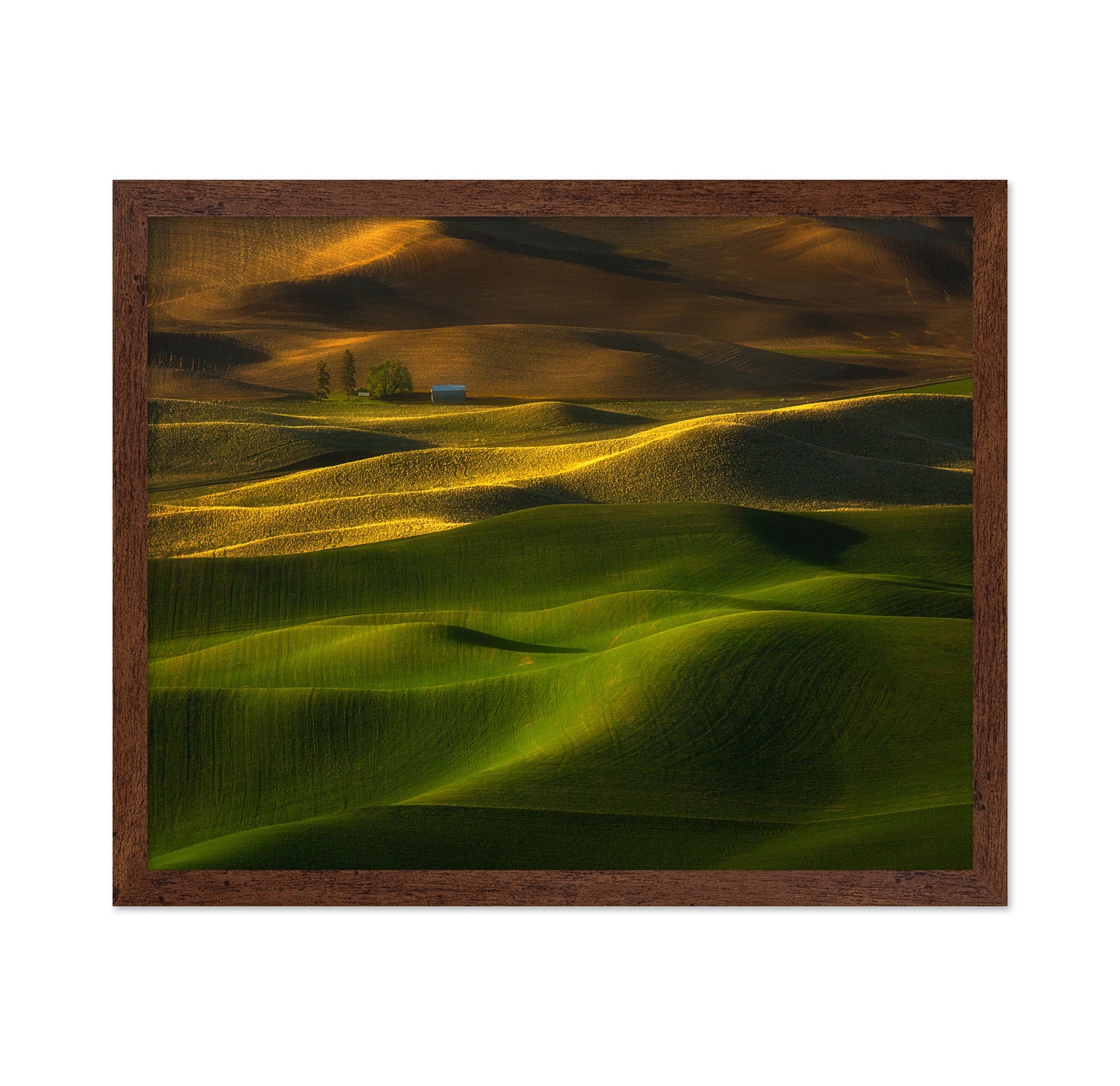 The Color Of The Earth